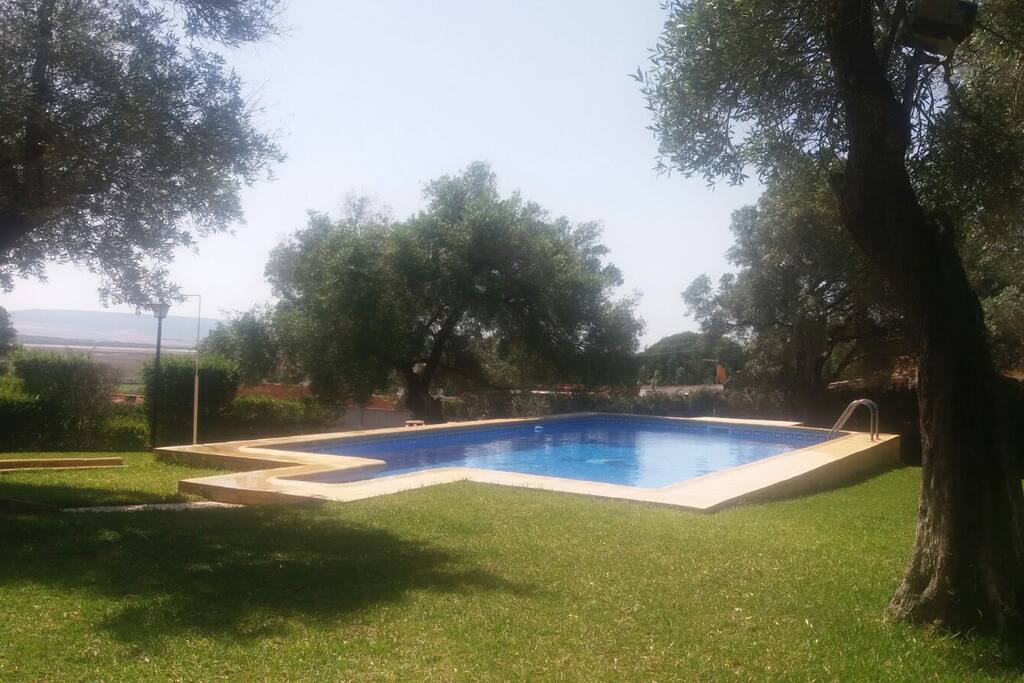 Vista de la piscina
