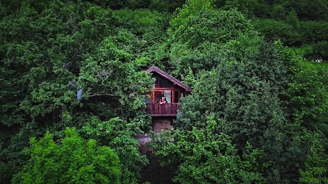 Hideaway
Ajanedo.com