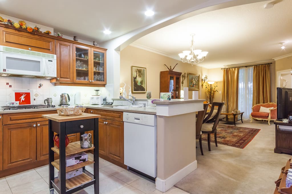 Open kitchen concept