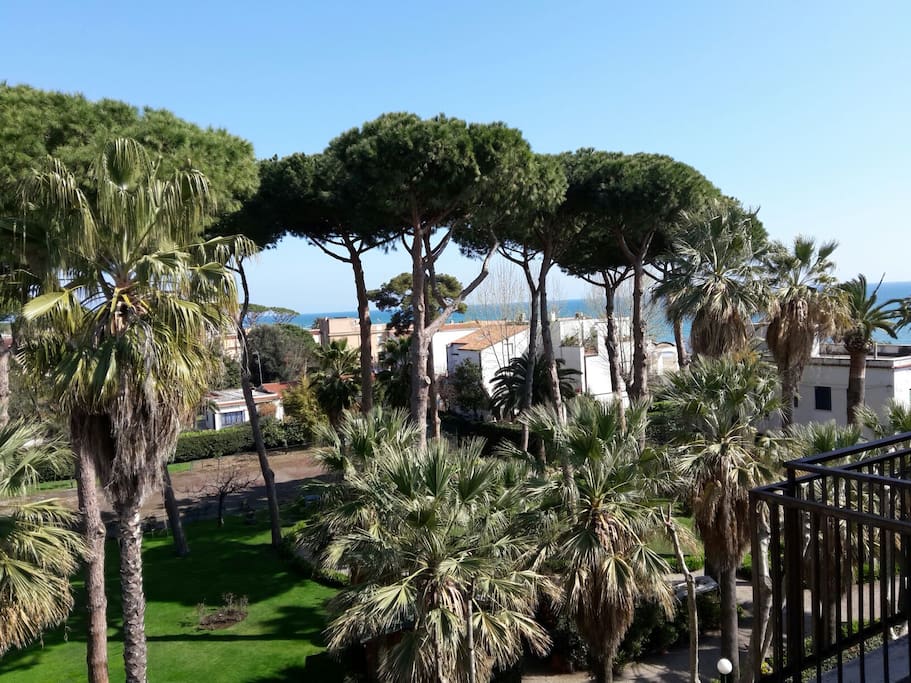 Vista dalla finestra