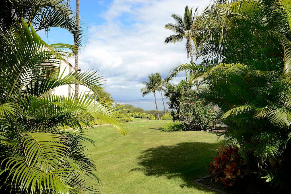 Gorgeous Grounds & View