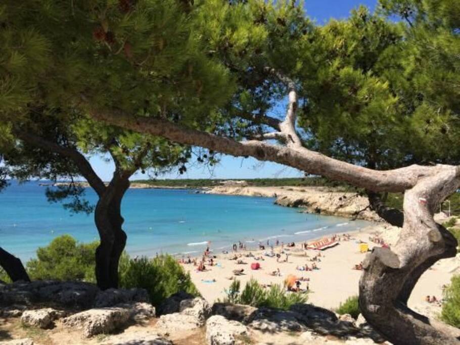 Plage de sable fin