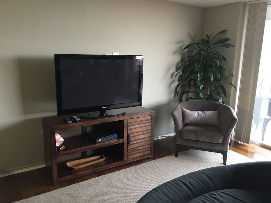 Modern Design and big TV