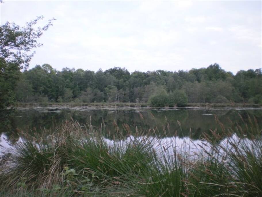 etang