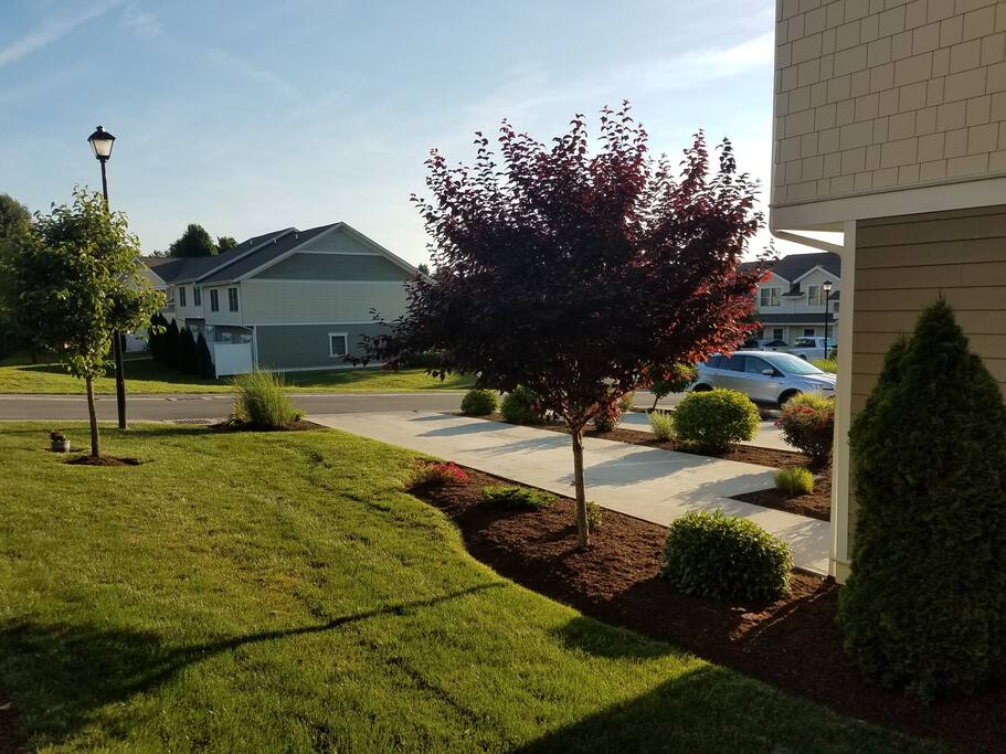 You can park two cars in the driveway. Additional guest parking is available.