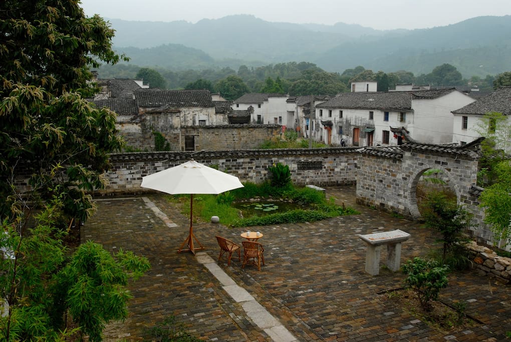 The garden
