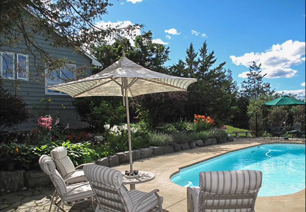 Relax poolside