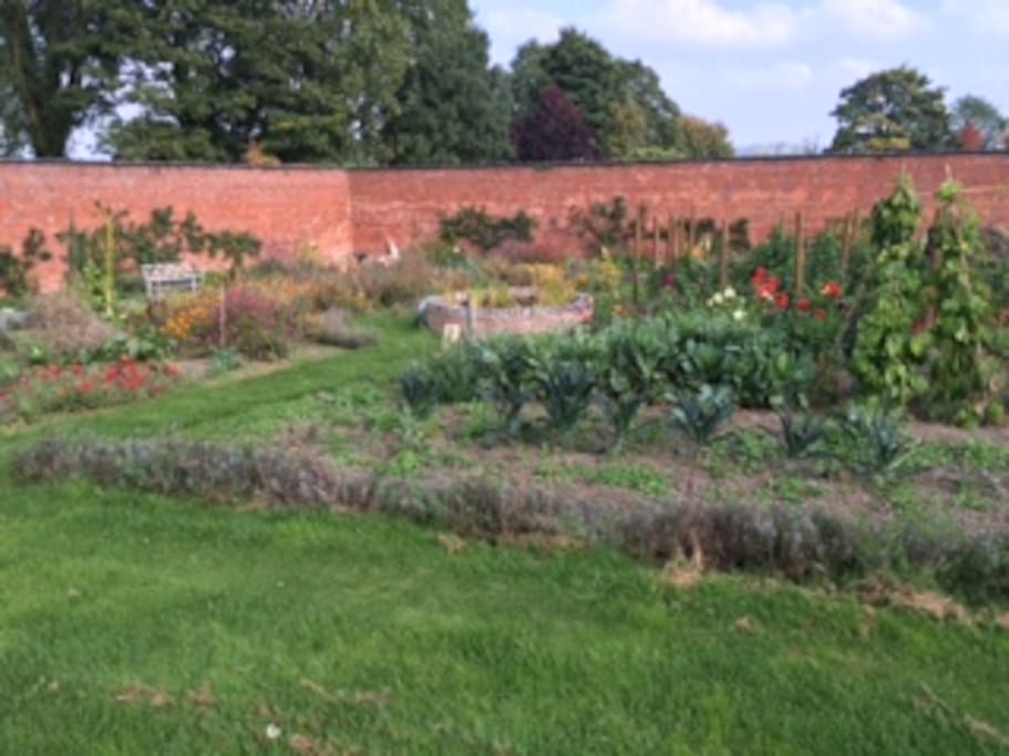 September in the walled garden