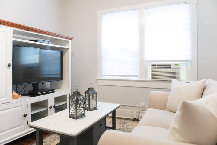 Stylish Mirror Lake - Downtown St. Pete 308 #103