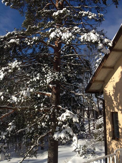 Winterview from the balcony
