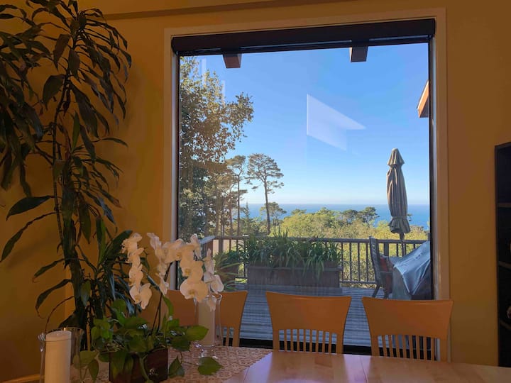 Isolation Retreat ocean view & hot tub Houses for Rent in Carmel