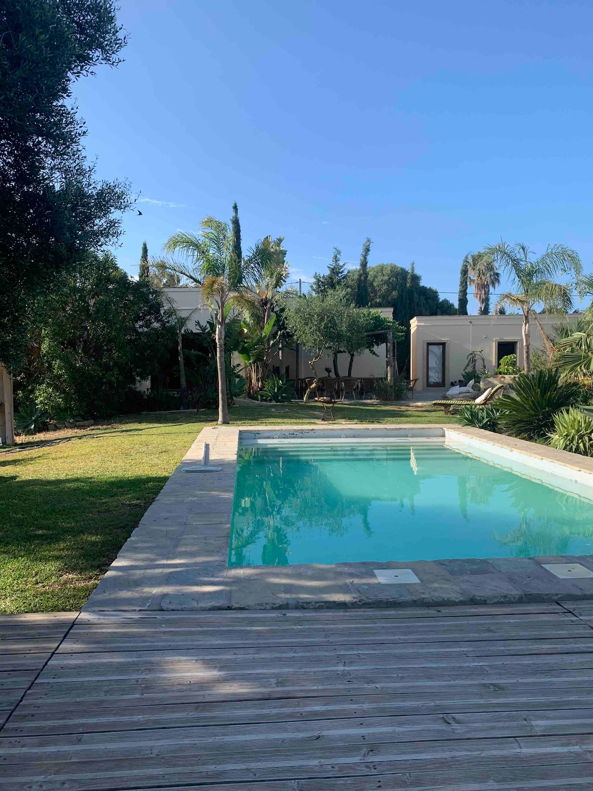 A serene outdoor area features a clear swimming pool surrounded by lush greenery. Palm trees and other plants are visible in the background, complementing the tranquil environment. Sunlight reflects off the pool's surface, enhancing the inviting space for relaxation.