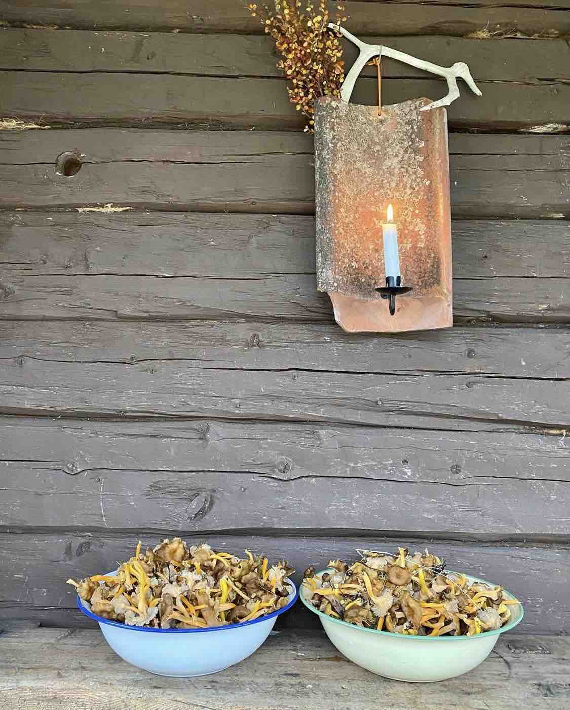 Two bowls filled with freshly picked chanterelle mushrooms are positioned on a rustic wooden surface. A candle rests on a decorative holder mounted on the wall behind, adding a gentle light to the setting. Natural elements create a charming, inviting display.