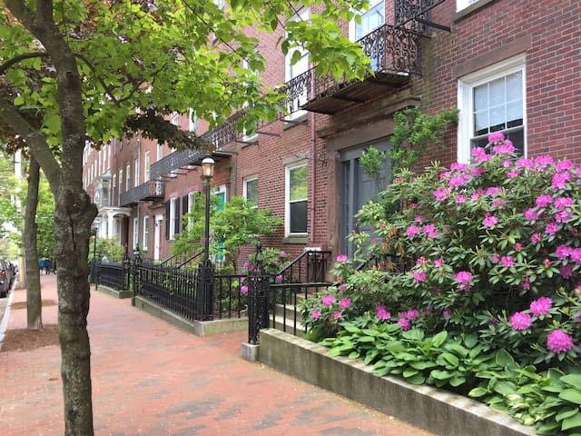Beautiful Historic Row House