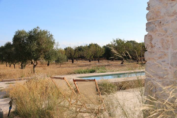 Masserina D’Aloia – Little treasure in nature gallery image 4