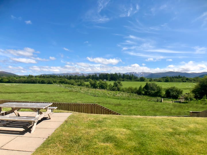 500+ Aviemore Holiday Cottages Houses and Apartments Airbnb