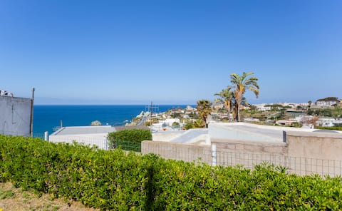 Top performing Airbnb: House on the Forio d'Ischia seafront - Serpico Sea in Forio