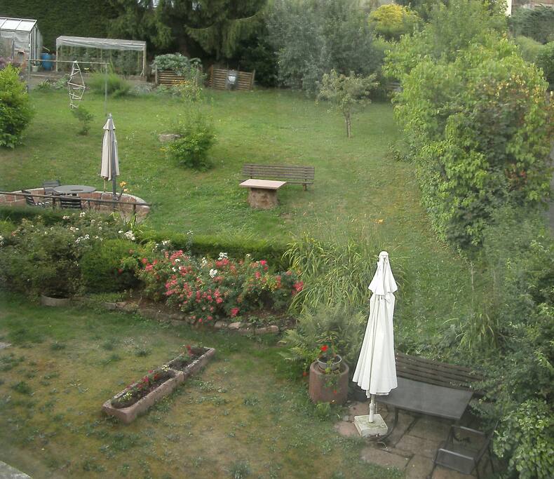 Blick in den Garten