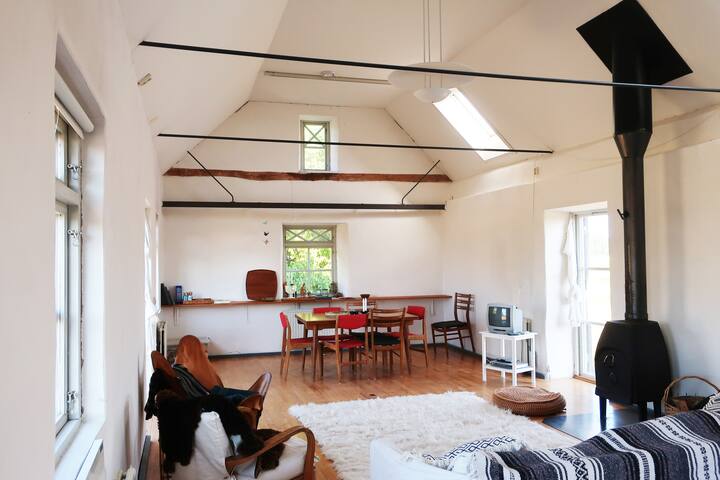 Living room with plenty of natural light and cast iron stove