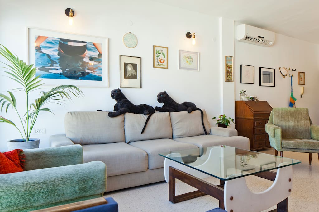 Living room couch
(again, not real panthers, just stuffed animals...)