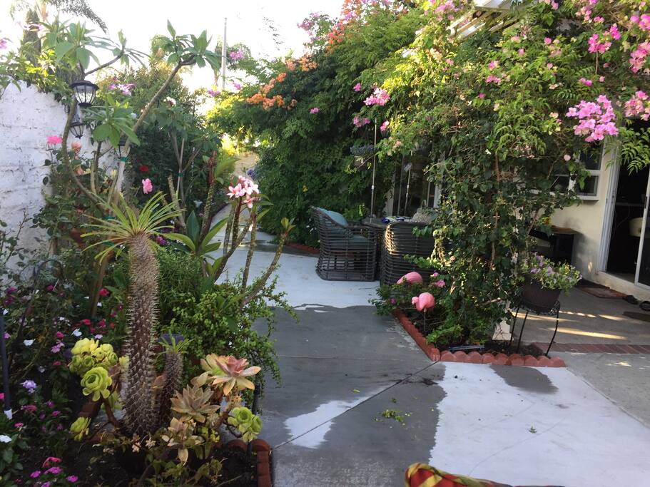 Beutifull garden