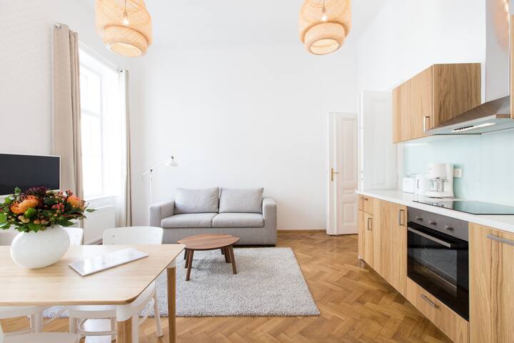 Fabulous City Center Apartment gallery image 2