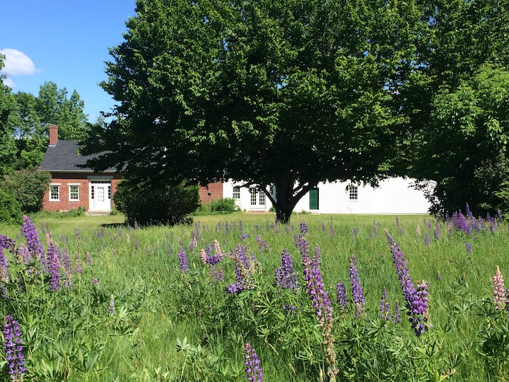 Maine Retreat Lupine Field Farmhouse Houses for Rent in Raymond, Maine, United States Airbnb