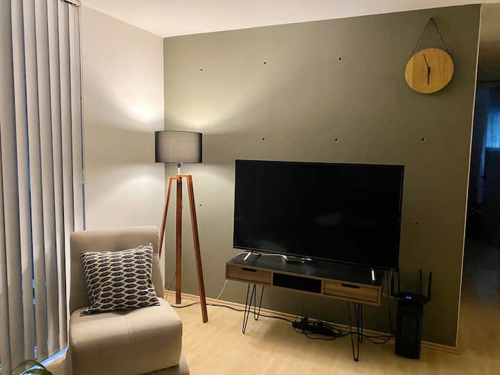 טלוויזיה חכמה עם מסך שטוח 65 אינץ' 