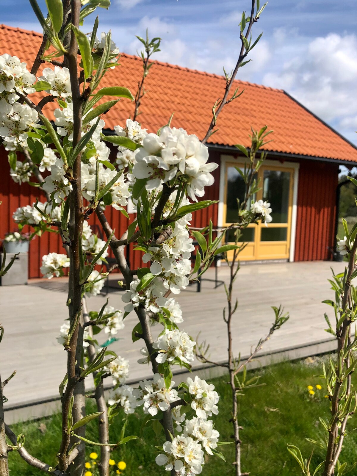 Nynäshamn Vacation Rentals u0026 Homes - Stockholm County, Sweden  Airbnb