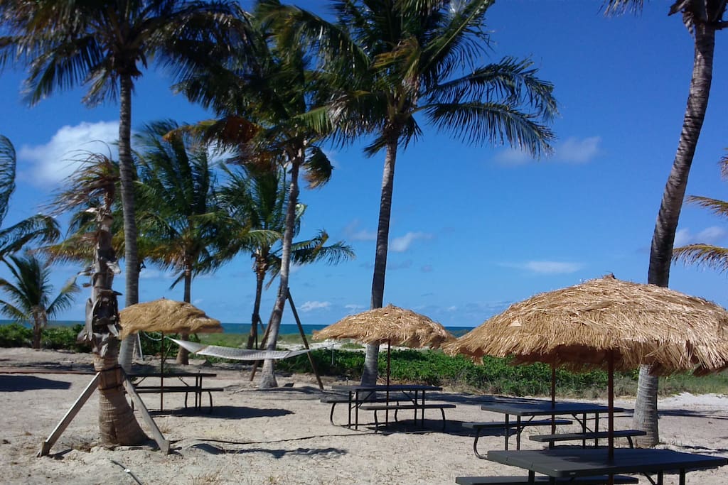 Backyard 50 feet from the Beach