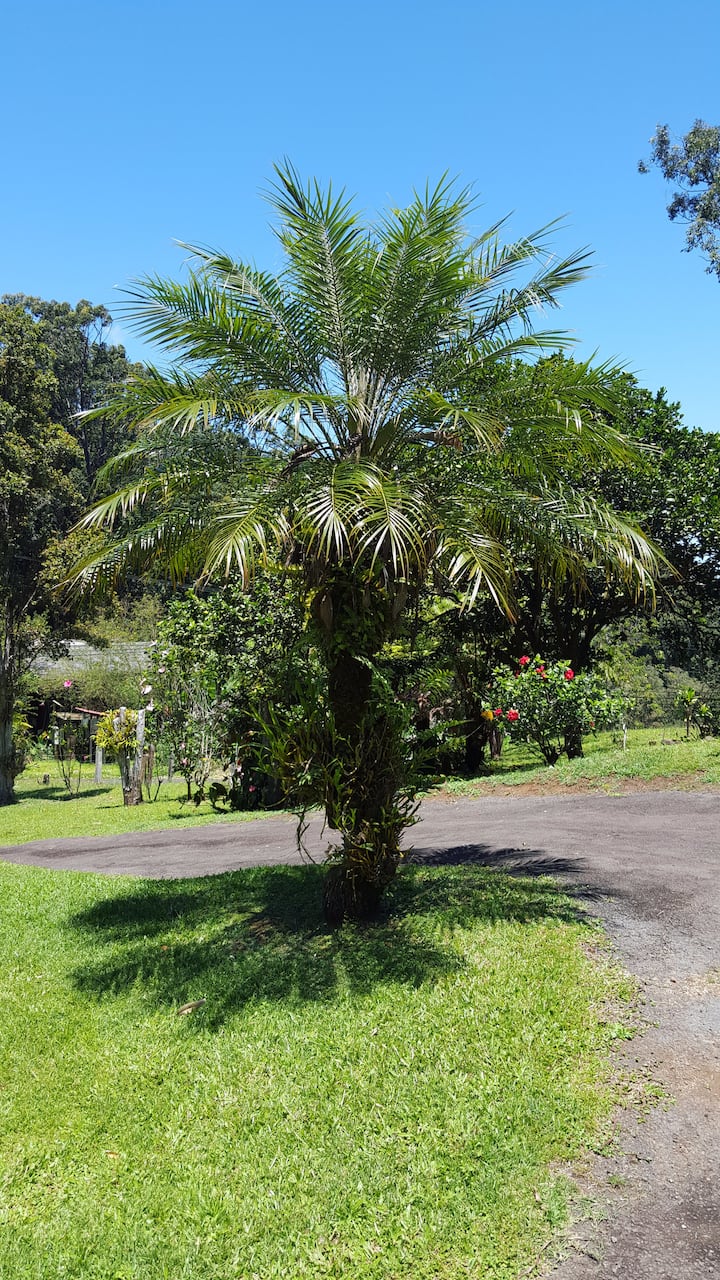 Honokaa Vacation Rentals & Homes - Hawaii, United States Airbnb