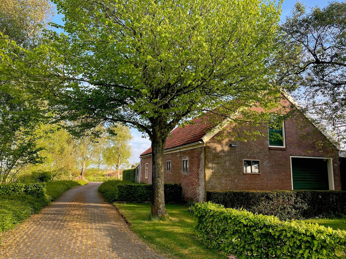 A tranquil pathway leads to a charming brick house, surrounded by lush greenery and trees. The structure features a red-tiled roof and multiple windows, with well-maintained hedges lining the path. Natural light filters through the leaves, creating a serene atmosphere.