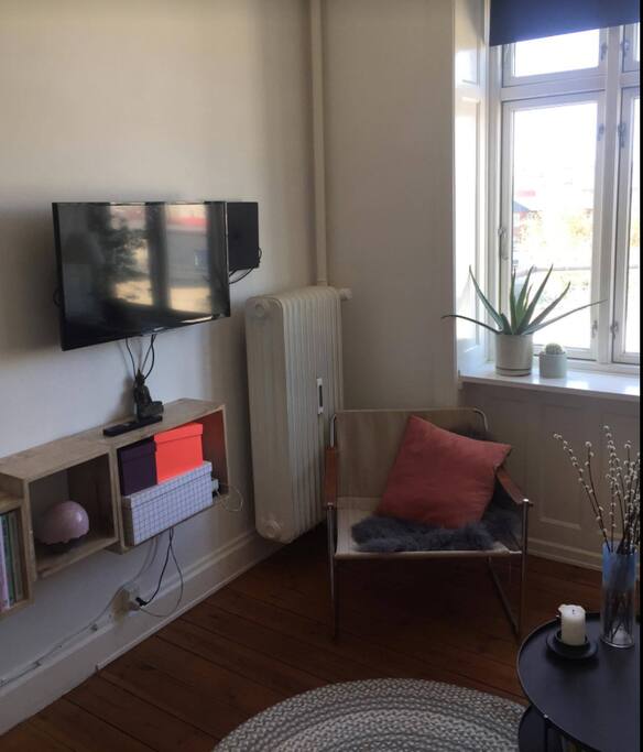 TV