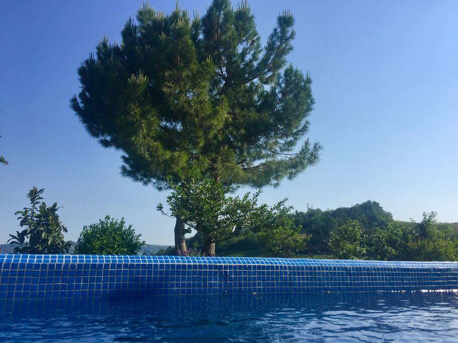 vista dalla vasca ad immersione