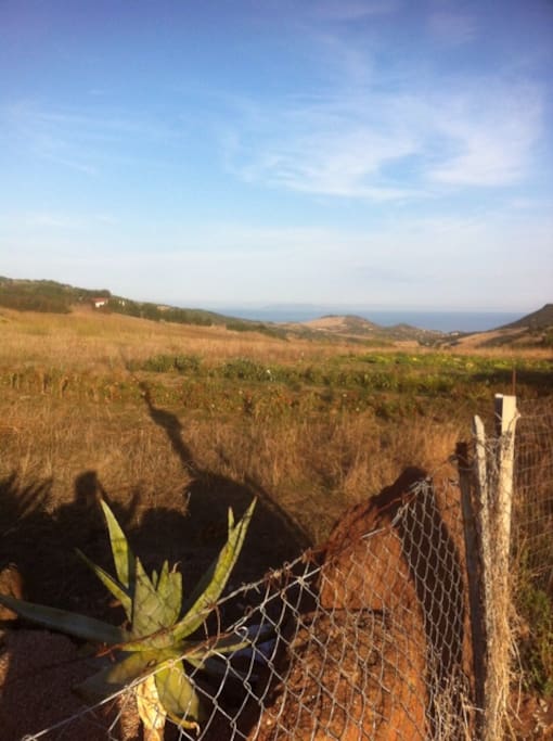 l'ambiente. Campi con uno scorcio di mare
