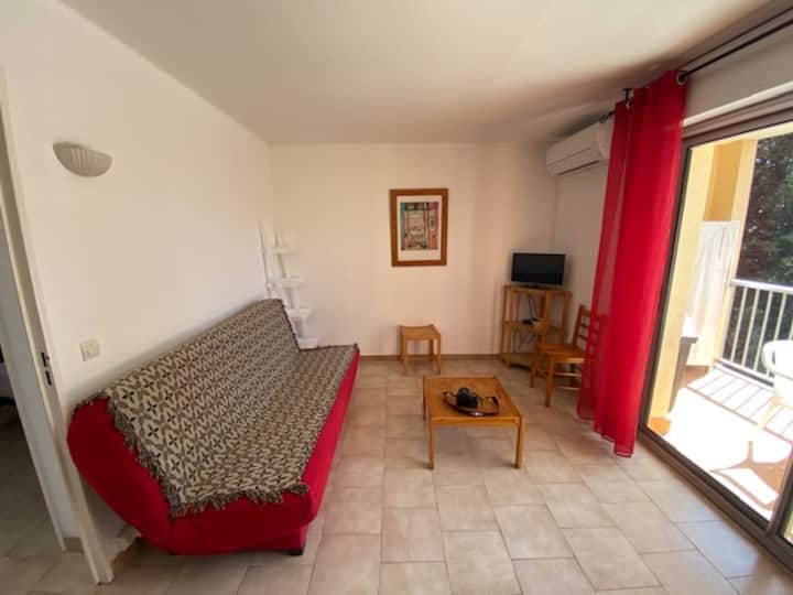 Appartement Climatisé Avec Parking Et Piscine - Canet-en-Roussillon