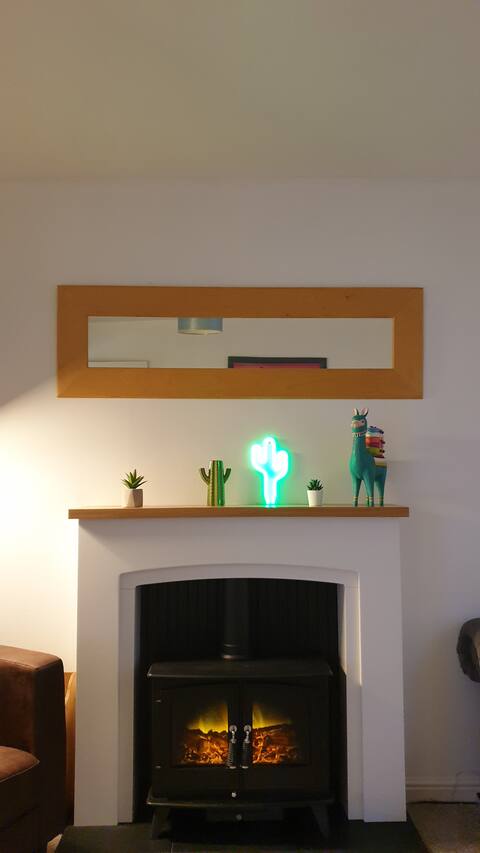 Cosy Cactus Flat Paisley UWS GLA Glasgow Airport