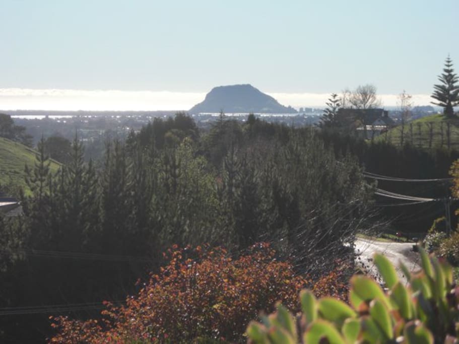 View to Mauo Mount Maunganui