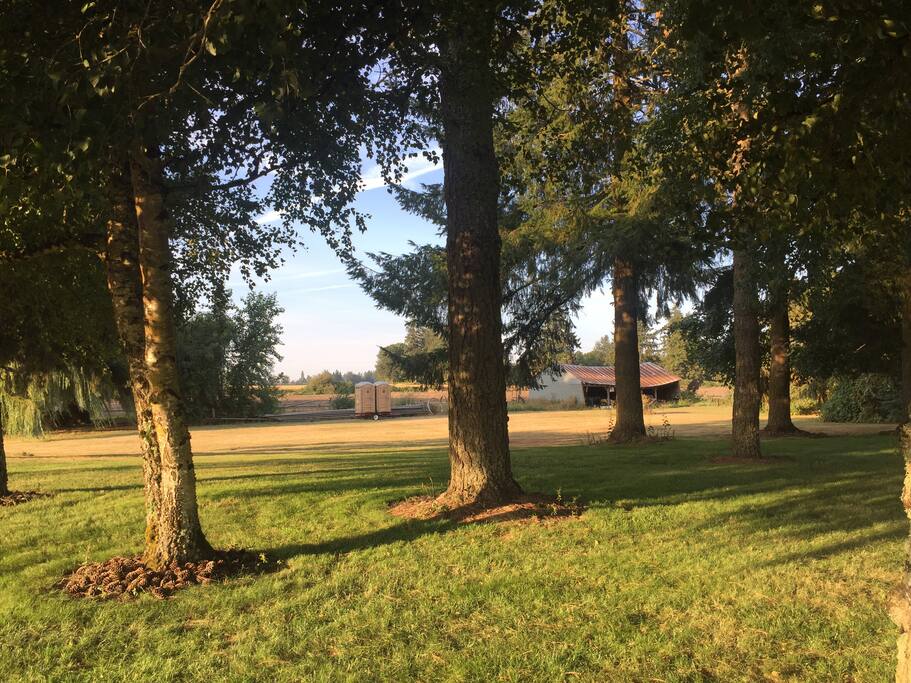 Set up a spot in the shade or bring a hammock!
