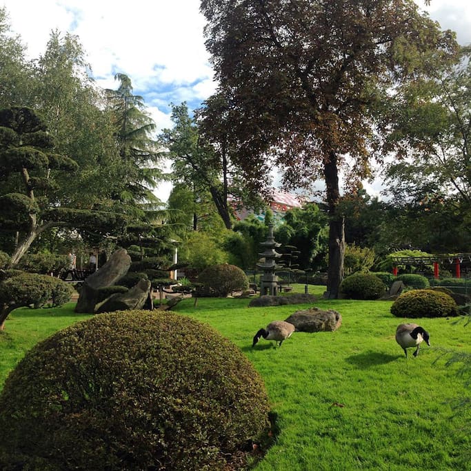 Photo of Jardin d'Acclimatation