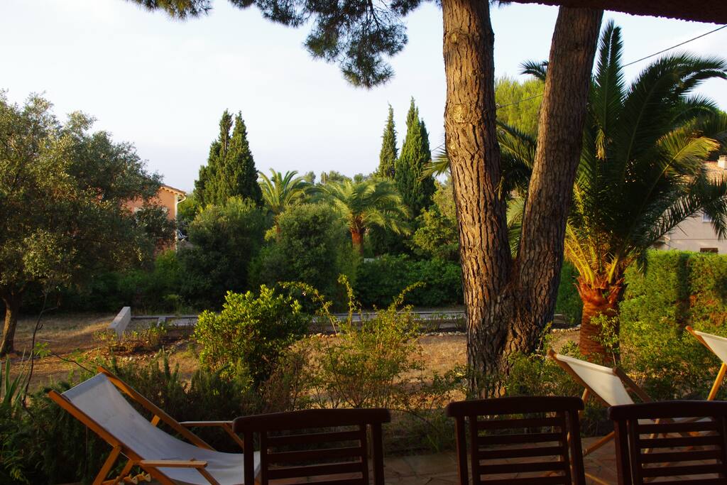 Le jardin