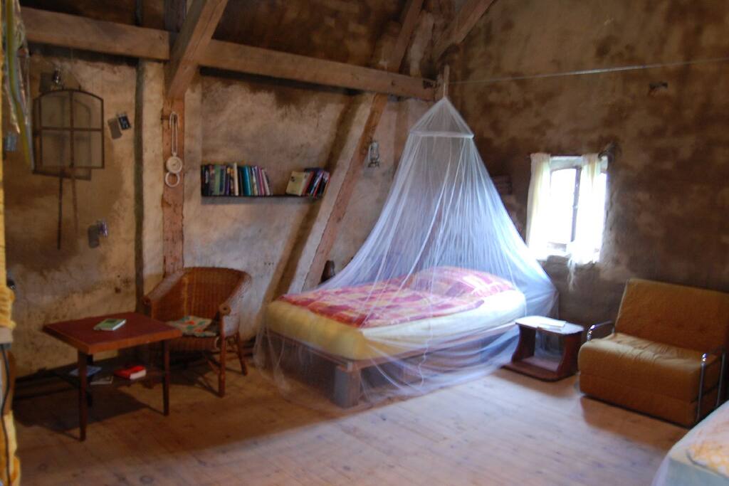 Dito Einzelbett
