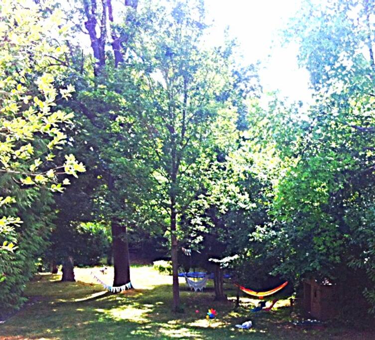 Une partie du jardin arboré