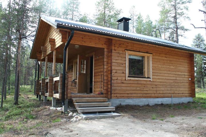 northern lights cabin