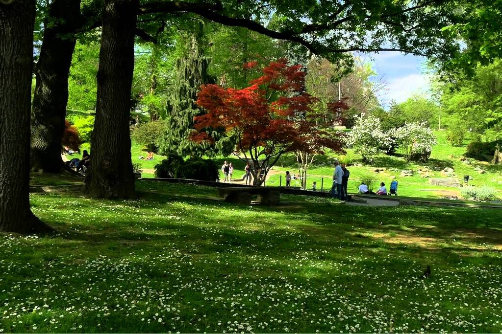 Il Parco del Valentino, l'ideale per passeggiate giochi e una boccata di aria fresca in mezzo a tanto verde, in riva al Po.
Valentino Park, ideal for walking, games and a breath of fresh air in the midst of so much green, along the Po.