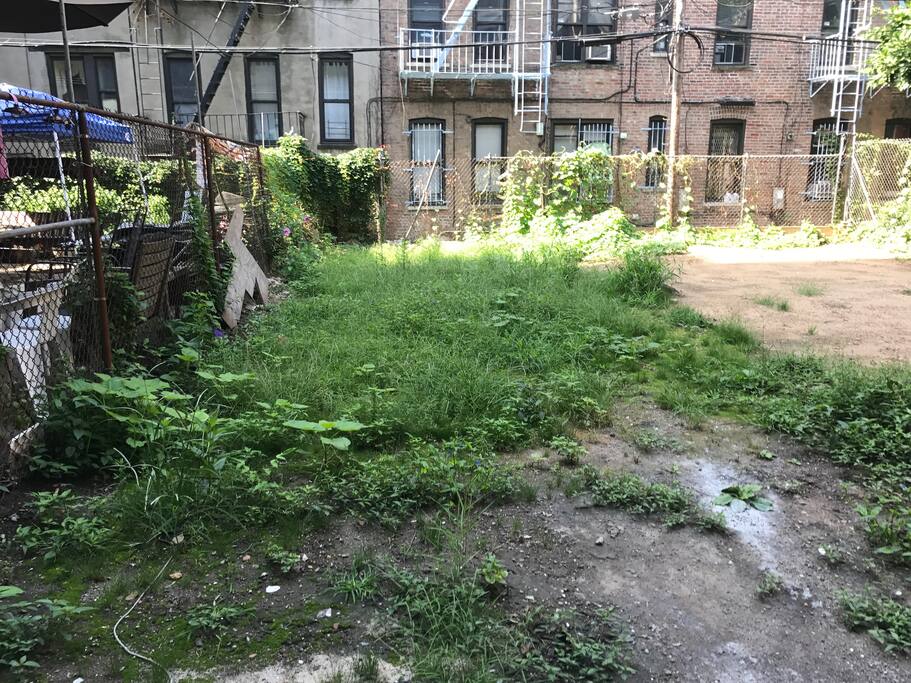 Private Backyard