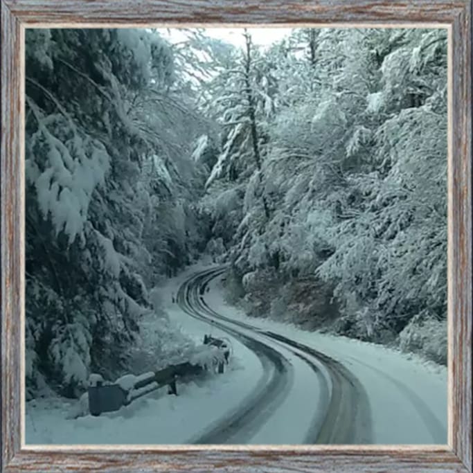 Winter road (on the way to our house around the corner)