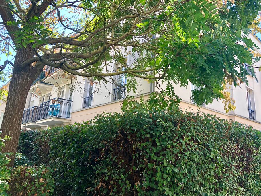 Voici le "Magical Apartment"