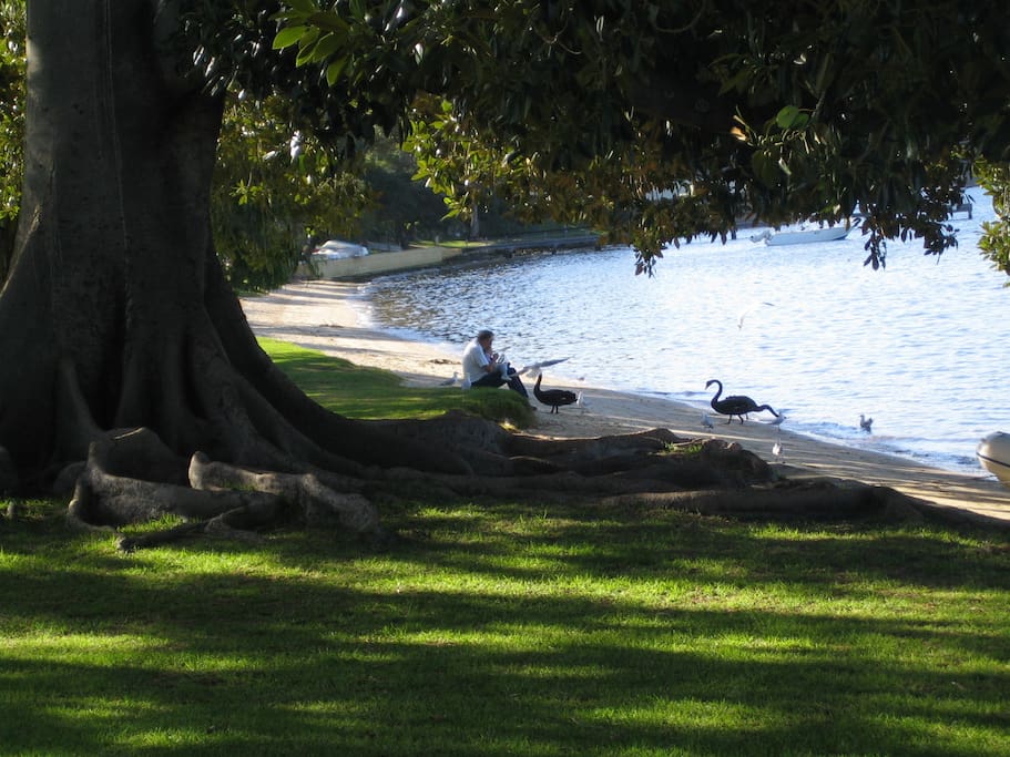 Walk along the Swan River and feed the black swans - only 12 minutes walk away through Peppermint Grove, one of Perth's most beautiful suburbs.
