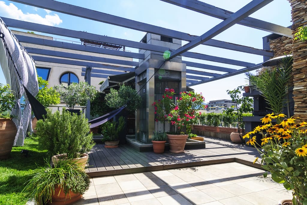 The day garden